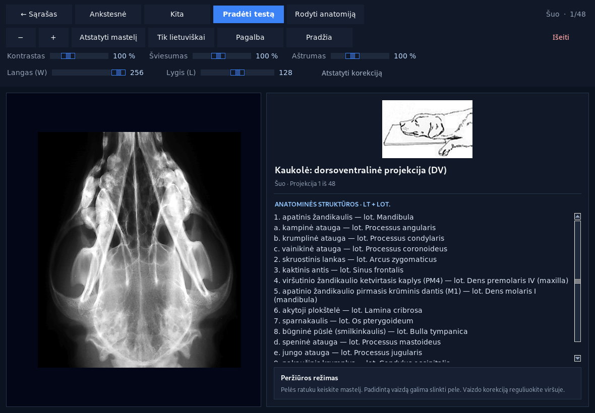 Vet Anatomy LT radiografijos peržiūros langas